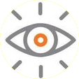 vision